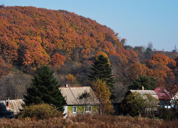 Así llega el otoño a uno de los rincones más lejanos de Rusia - Sputnik Mundo