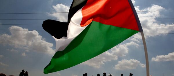 La bandera de Palestina La bandera de Palestina - Sputnik Mundo