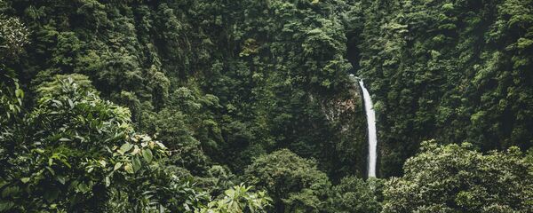 Amazonia (imagen referencial) Amazonia (imagen referencial) - Sputnik Mundo