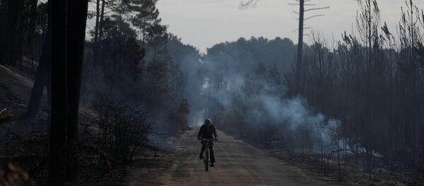 Incendios forestales en Portugal - Sputnik Mundo