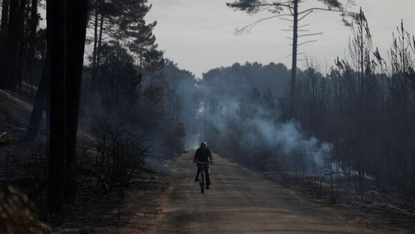 Incendios forestales en Portugal Incendios forestales en Portugal - Sputnik Mundo