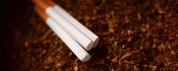 Tabaco (imagen referencial) - Sputnik Mundo