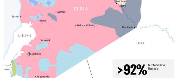 Los resultados de la operación de Rusia en Siria - Sputnik Mundo