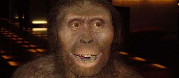 Australopithecus afarensis, homínido extinto Australopithecus afarensis, homínido extinto - Sputnik Mundo