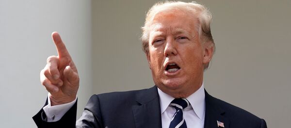 Donald Trump, presidente de EEUU - Sputnik Mundo