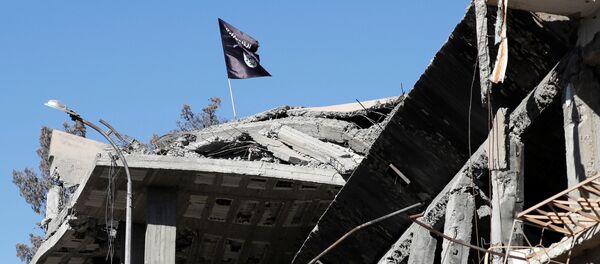 La bandera del grupo terrorista Daesh en la ciudad siria de Al raqa - Sputnik Mundo