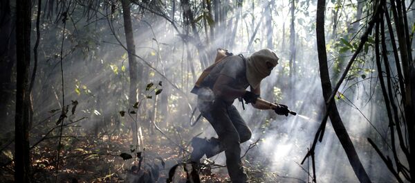 Un voluntario trata de apagar el incendeio en Brasil - Sputnik Mundo