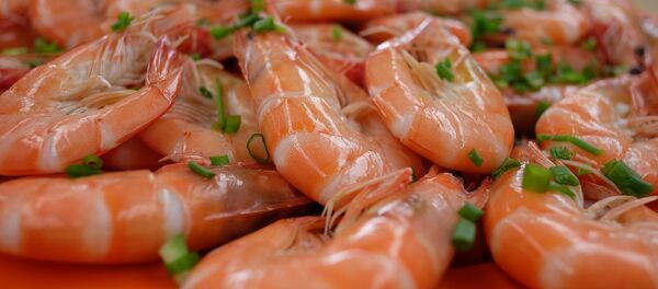 Camarón - Sputnik Mundo