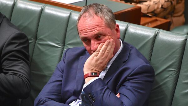 Barnaby Joyce, vice primer ministro de Australia Barnaby Joyce, vice primer ministro de Australia - Sputnik Mundo