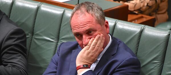 Barnaby Joyce, vice primer ministro de Australia - Sputnik Mundo
