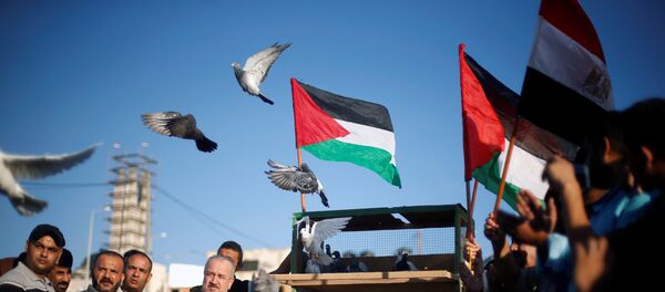 Bandera de Palestina - Sputnik Mundo