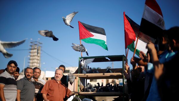 Bandera de Palestina - Sputnik Mundo