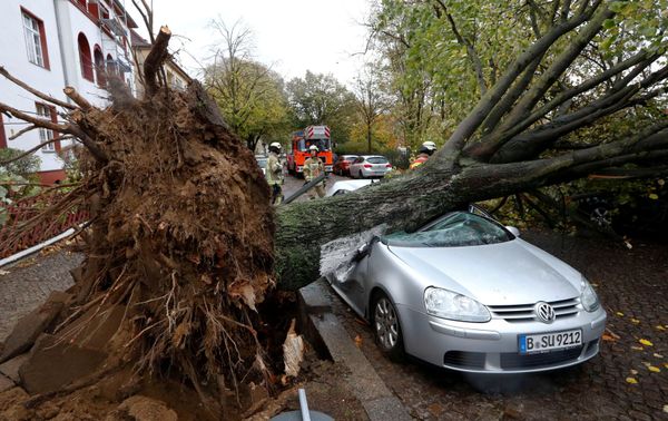 Los efectos de la tormenta Herwart en Europa - Sputnik Mundo