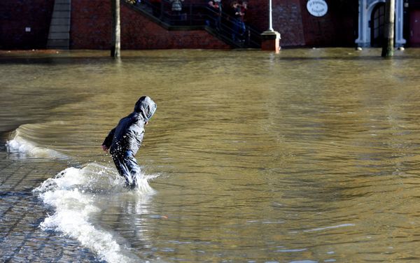 Los efectos de la tormenta Herwart en Europa - Sputnik Mundo