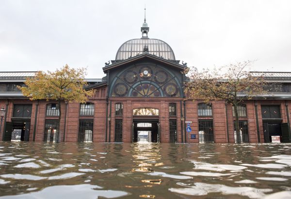 Los efectos de la tormenta Herwart en Europa - Sputnik Mundo