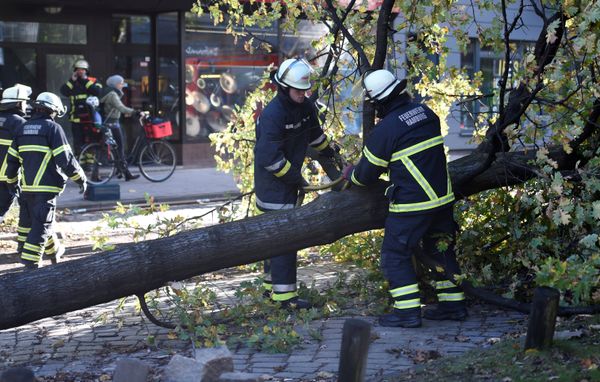 Los efectos de la tormenta Herwart en Europa - Sputnik Mundo