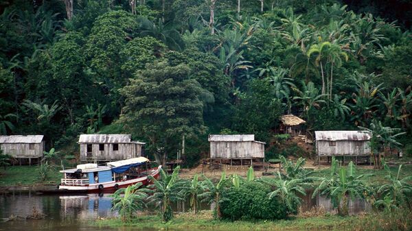 Amazonia (imagen referencial) - Sputnik Mundo