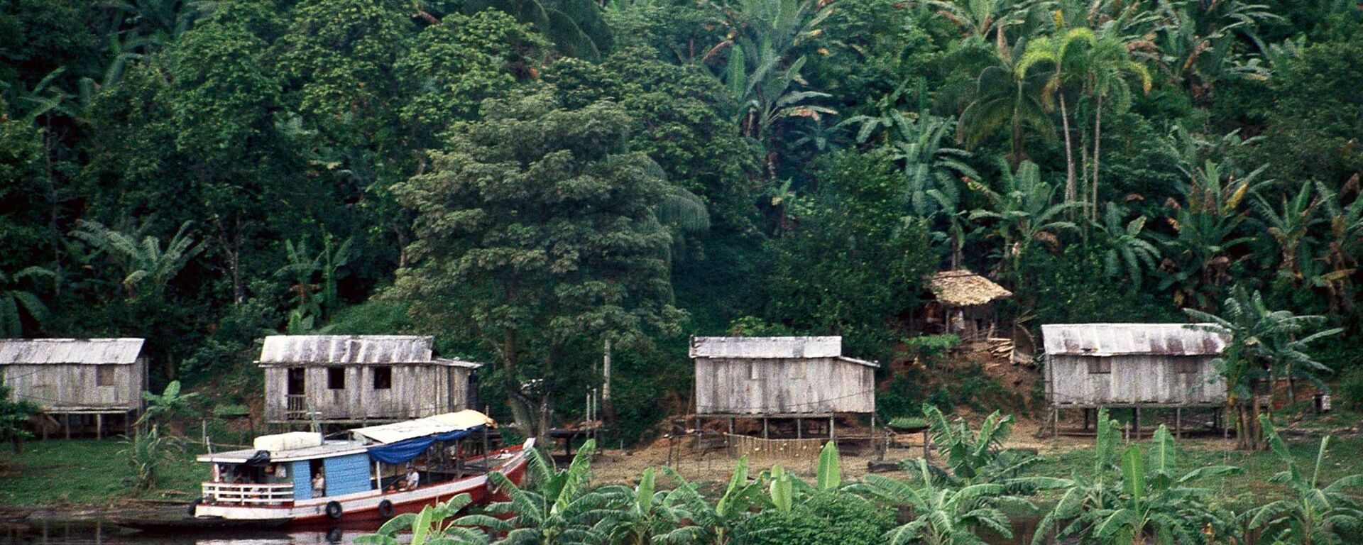 Amazonia (imagen referencial) - Sputnik Mundo, 1920, 04.08.2024