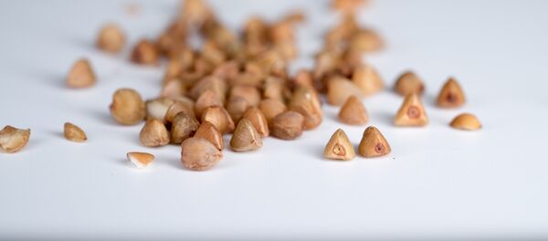 Trigo sarraceno - Sputnik Mundo