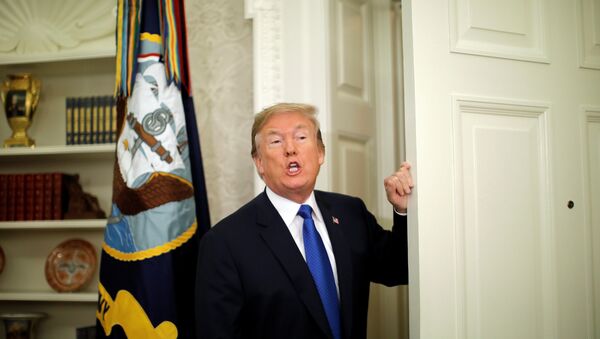 Donald Trump, presidente de EEUU - Sputnik Mundo