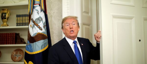 Donald Trump, presidente de EEUU - Sputnik Mundo