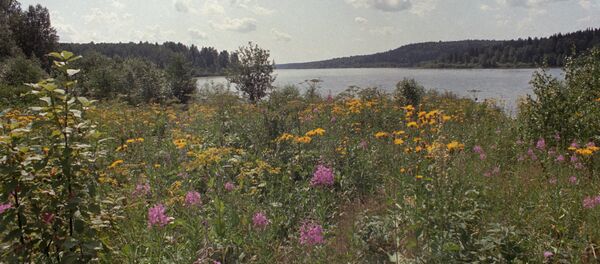 Chumish, Siberia - Sputnik Mundo