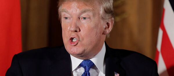 Donald Trump, presidente de EEUU Donald Trump, presidente de EEUU - Sputnik Mundo