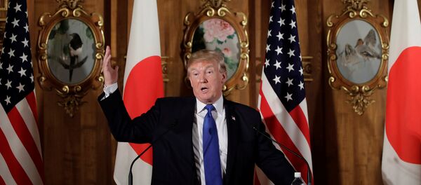 Donald Trump, presidente de EEUU - Sputnik Mundo