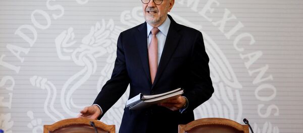 El subsecretario para América del Norte del Gobierno de México, Carlos Manuel Sada Solana - Sputnik Mundo