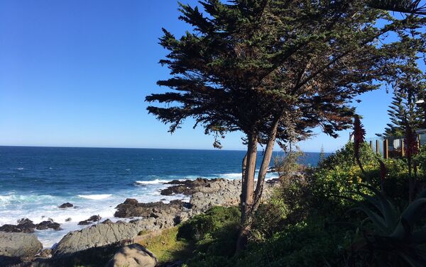 La vista del océano Pacífico desde la casa de Pablo Neruda en Isla Negra, Chile - Sputnik Mundo