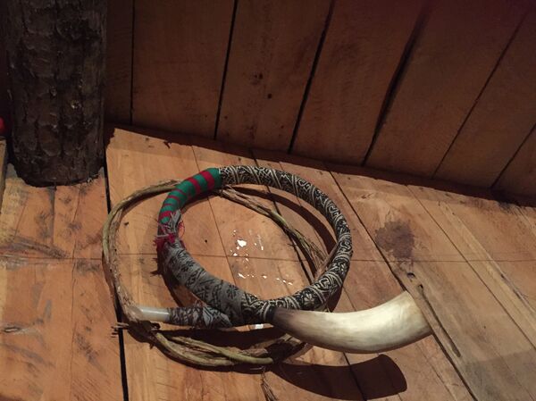 La trutruca, un aerófono del género de las trompetas, difundido principalmente entre los mapuches de Chile y Argentina - Sputnik Mundo