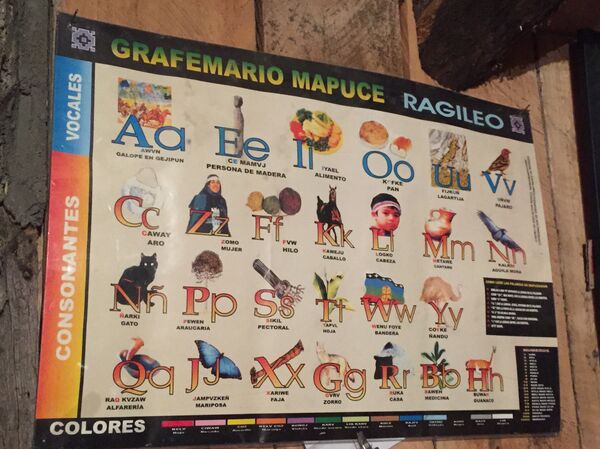 La escritura del mapuche - Sputnik Mundo