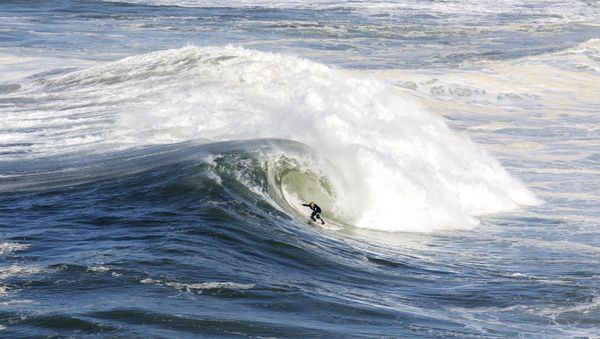 Andrew Cotton, surfista británico Andrew Cotton, surfista británico - Sputnik Mundo