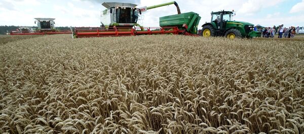 Cosecha de trigo en Rusia - Sputnik Mundo