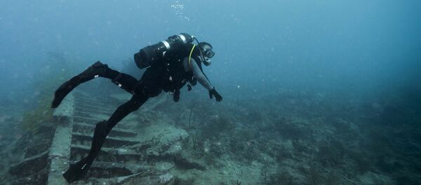 Un buceador (imagen referencial) - Sputnik Mundo