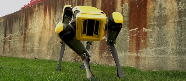 SpotMini, el robot de la empresa Boston Dynamics - Sputnik Mundo