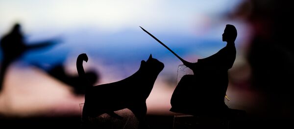 Una representación de un gato y un practicante de artes marciales - Sputnik Mundo