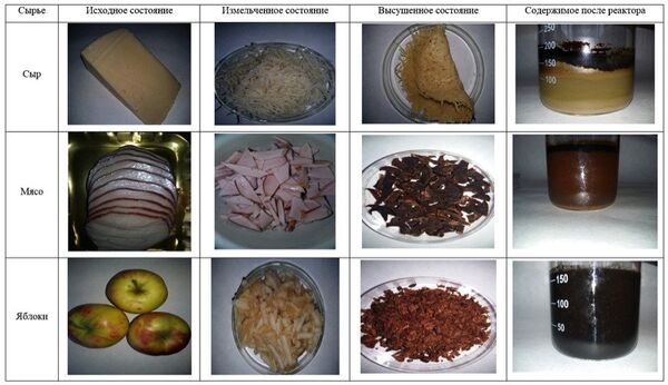 El queso, la carne y las manzanas en estados iniciales, triturados, desecados y tras el reactor - Sputnik Mundo