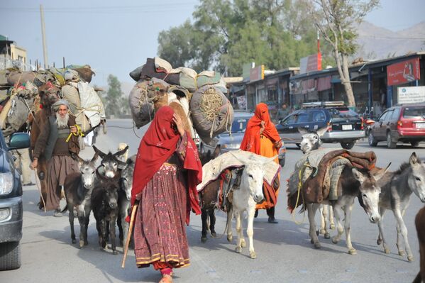 Nómadas en la carretera Kabul-Jalalabad - Sputnik Mundo