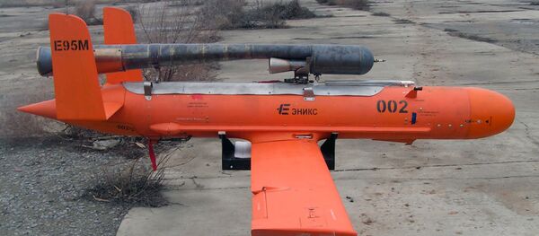 Un misil-blanco de propulsión E95 de la empresa Enics Un misil-blanco de propulsión E95 de la empresa Enics - Sputnik Mundo