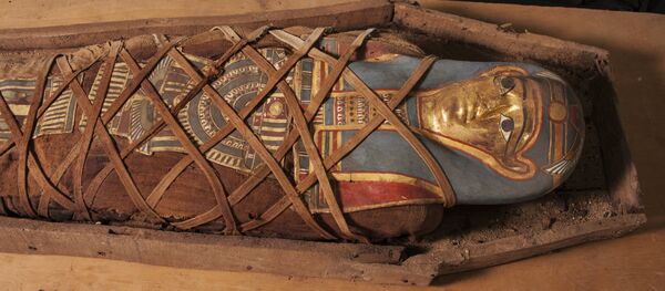 La momia descubierta en el oasis de El Fayum, Egipto - Sputnik Mundo