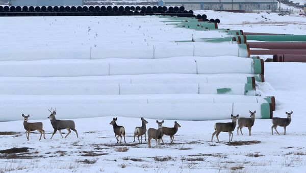 Tuberías para oleoducto Keystone XL - Sputnik Mundo