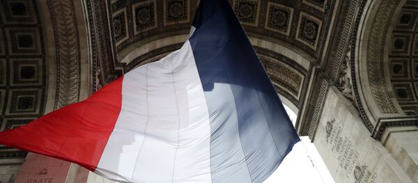 Bandera de Francia - Sputnik Mundo