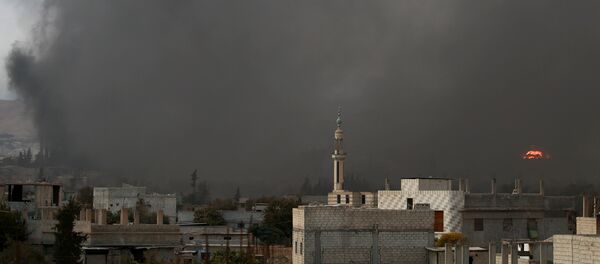 Situación en Siria - Sputnik Mundo