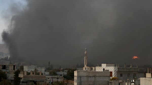 Situación en Siria - Sputnik Mundo