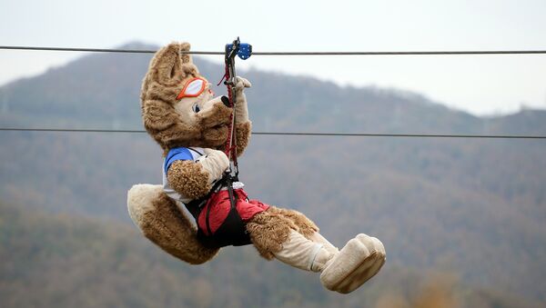 Zabivaka, la mascota oficial del Mundial 2018, se lanza en tirolina en Sochi - Sputnik Mundo