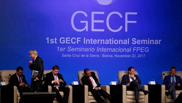 Los participantes del IV Foro de Países Exportadores de Gas en Bolivia - Sputnik Mundo