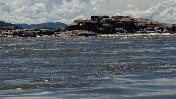 El río Orinoco El río Orinoco - Sputnik Mundo
