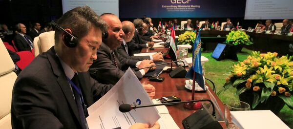 Ministros de países productores de gas - Sputnik Mundo