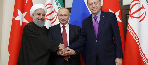 Un acontecimiento significativo: Putin se reúne con Erdogan y Rohaní - Sputnik Mundo